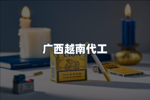 广西越南代工